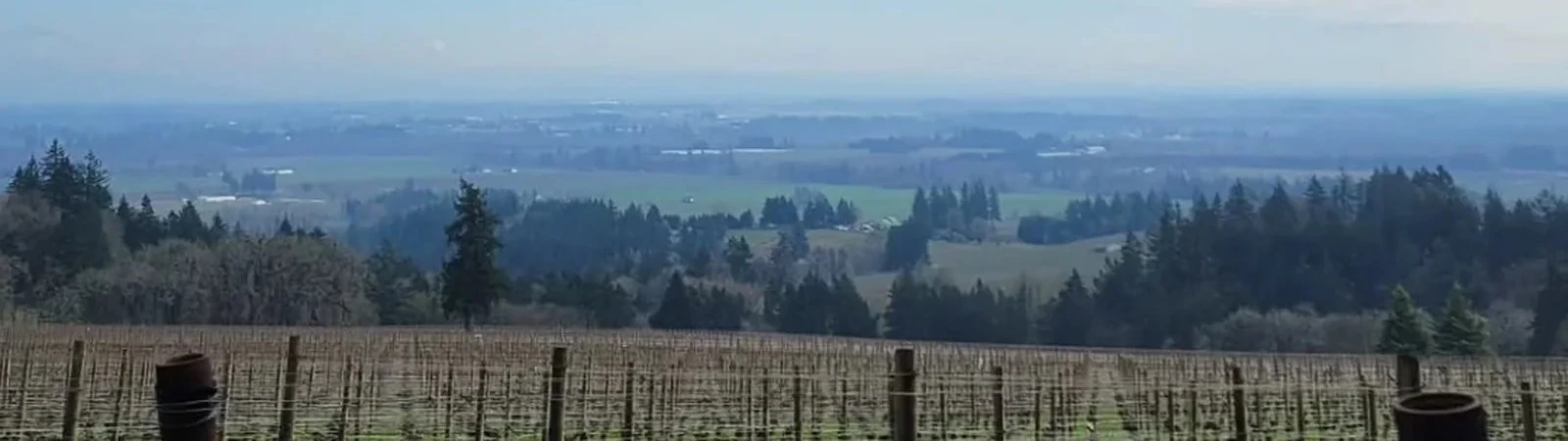 Scenic vineyard landscape in the Dundee Hills AVA of Oregon’s Willamette Valley